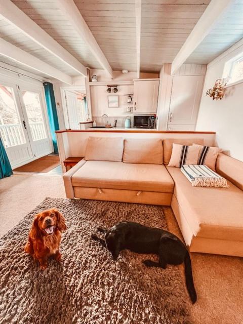 Blankednick Boltholes - 3 Beautiful Family Or Couples Cornish Getaways Villa Truro Buitenkant foto